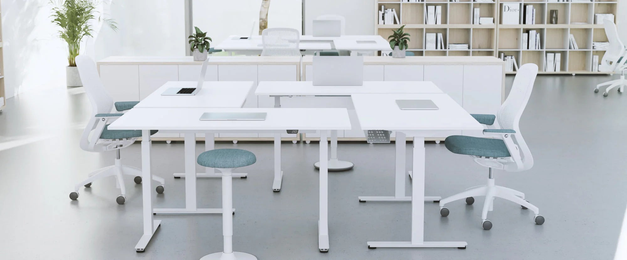 Office Standing Desks - Ergonomic. Scalable. Sustainable