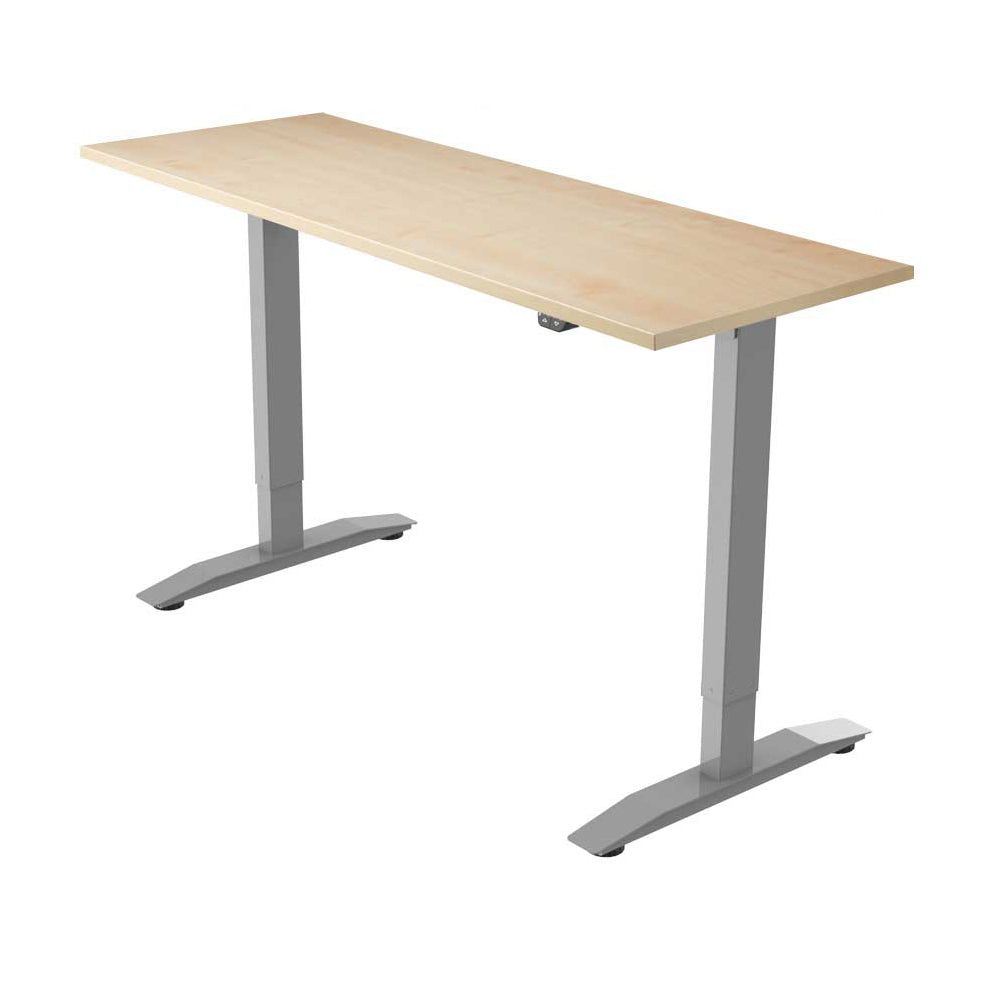 Yo-Yo DESK PRO 1 Silver-Oak single motor electric standing desk